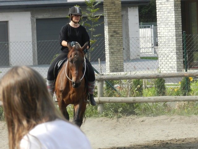Babie Lato 2016